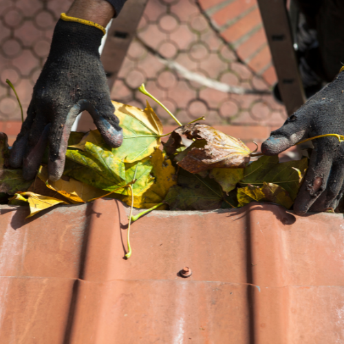 What is Gutter Cleaning?